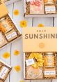 Sunshine Box