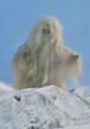Mysterious creature resembling the Yeti, perched on a snowy mountain peak, surrounded by a clear blue sky.