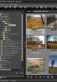 Viewer 2