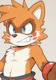 Jay The Lucky Fortune Raccoon, a Sonic OC, showcases a confident expression with vibrant orange fur and playful features.
