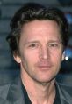 Andrew Mccarthy Andrew Thomas McCarthy (born November 29, 1962)[1] is an American actor, travel writer, television director,
