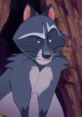 Bering The Raccoon (Jim Cummings, Brother Bear 2)