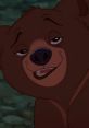 Koda (Jeremy Suarez, Brother Bear)