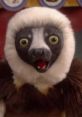 Zoboomafoo Voiced By Gord Robertson