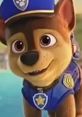 Chase (Iain Armitage Paw Patrol: The Movie 2021)