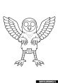 Owlwkwkw,w