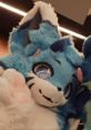 This Is The Pi My first furry