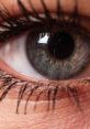Close-up of a human eye, showcasing detailed eyelashes and radiant iris, perfect for capturing laughter in the Try Not To Laugh Challenge.