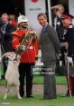 Prince The Goat
