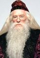 Albus Dumbledore (Harry Potter & The Philosopher’s Stone) (2002) Voiced By: Richard Harris