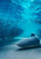 Blue Planet 20133