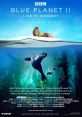 Blue Planet Current Voice
