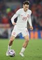 Piotr Zieliński Piotr Zieliński has become a distinguished figure in the world of football, particularly in Serie A, where