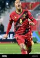 Youri Tielemans The enigmatic Youri Tielemans has become a fulcrum of conversation in the football community, especially
