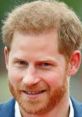 Prince Harry, Duke of Sussex, smiling warmly with a neatly trimmed beard and tousled hair in a public appearance.