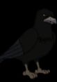 Ragwing from Redwall, a menacing black bird with sharp features and intent gaze, symbolizes cunning and loyalty.
