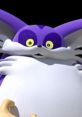 Big The Cat (Team Sonic Racing)
