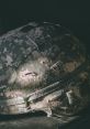 EndGameTemple Within the immersive world of fantasy gaming, EndGameTemple stands out as a captivating hub for audio