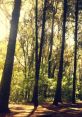 Spring And As the chilly breeze of spring ushers in a sense of renewal, it often evokes powerful nostalgia through the