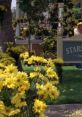 Spring In Stars Hollow Imagine strolling through the charming streets of Stars Hollow, where the vibrant of spring create