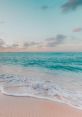 Cape Cod Beach Party: BEACHparty Get ready for a vibrant celebration with Cape Cod Beach Party, an event that captures the