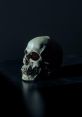 Ghost Channel: Ghosty Ghosts Ghost Channel: Ghosty Ghosts is an innovative media property that invites fans into a