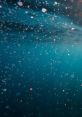 VR Underwater Immerse yourself in the captivating world of virtual reality underwater experiences, where players can