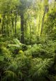 Jungle Escape: Lost Phantom Background Set against the vibrant backdrop of a jungle, the audio experience for the freeware