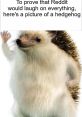 Really If you're craving some excitement and energy, look no further than the exclamation "I'm really feeling it!" This