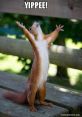 Yippe The first that comes to mind when I think of the word "Yippe" is the exuberant shout of someone celebrating a victory