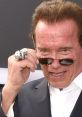 Arnold Schwarzenegger Sounds 3