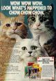 Purina Cat Chow Advert Music