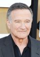 Robin Williams Angry and Mean Soundboard
