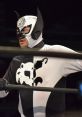 Wrestler in a stylized black and white costume with a bat-themed mask, ready for action in the ring.