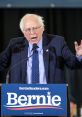 Bernie Sanders - 2020 Campaign Soundboard