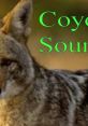 Coyote Calls