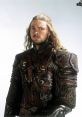 Eomer in detailed armor, embodying the bravery and strength of Rohan, ready for battle in a fantasy epic setting.