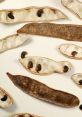 Dried split ends pods with seeds, showcasing unique shapes and textures, ideal for botanical studies and plant identification.