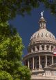 Texas State Capitol dome surrounded by greenery, showcasing its iconic architecture and the statue on top.