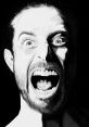 Random Scream! The first that pierces the silence is a jarring, unexpected outburst of "Random Scream!". It echoes