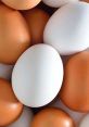 Fresh brown and white eggs stacked together, showcasing their natural colors and textures, perfect for cooking and baking.