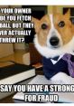 My Random Memes A