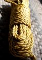 Yellow twisted rope coiled neatly, perfect for various outdoor activities and DIY projects. Strong and durable material.