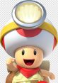 Toad - New Super Mario Bros. 2 - Character Voices (3DS)