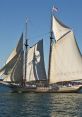 Sailing ship with billowing sails glides through calm waters under a clear blue sky, showcasing classic nautical beauty.