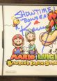 Luigi - Mario & Luigi: Bowser's Inside Story - Character Voices (DS - DSi)