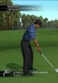 Sound Effects - Tiger Woods PGA Tour 2005 - Miscellaneous (DS - DSi)