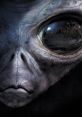 Close-up of an alien face, featuring distinct features and a reflective eye revealing a mysterious landscape.