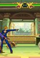 Iggy - JoJo's Bizarre Adventure: Heritage for the Future - Playable Characters (PlayStation)