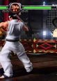 Aoi Umenokoji - Virtua Fighter 5 - Fighters (Xbox 360)
